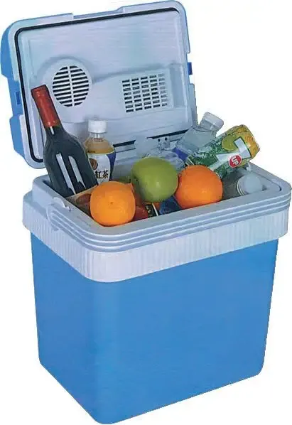 Ardes AR5E26 borsa frigo 26 L Elettrico Blu Saldi