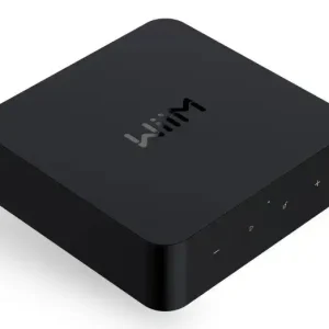 WiiM Pro Network Audio Streamer Hi-Res DAC TI PCM5151 AirPlay2 Chromecast Spotify Tidal Bluetooth Controllo Vocale Offerta Del Giorno