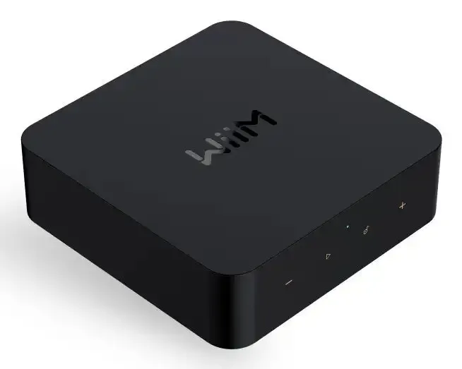 WiiM Pro Network Audio Streamer Hi-Res DAC TI PCM5151 AirPlay2 Chromecast Spotify Tidal Bluetooth Controllo Vocale Offerta Del Giorno