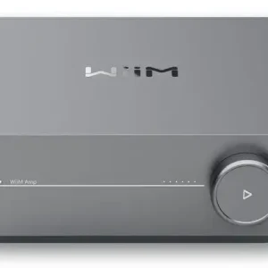 Di Tendenza WiiM Amplificatore / Streamer / DAC di rete, Grigio Classe D